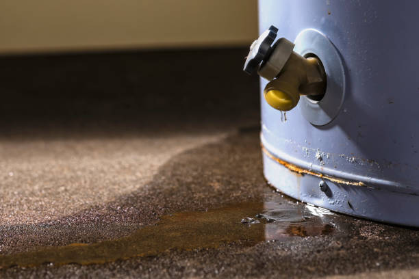 Best Flooded house restoration  in Laurel Park, NC