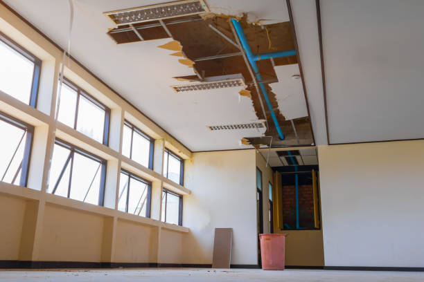 Best Professional water damage repair  in Laurel Park, NC