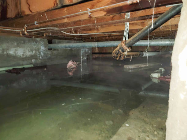 Best Ceiling water damage repair  in Laurel Park, NC