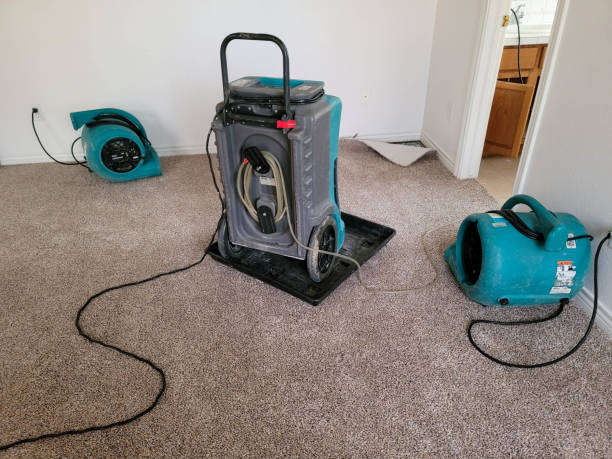 Best Basement water damage restoration  in Laurel Park, NC