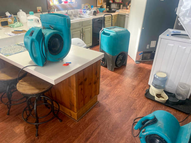 Best Carpet water damage restoration  in Laurel Park, NC