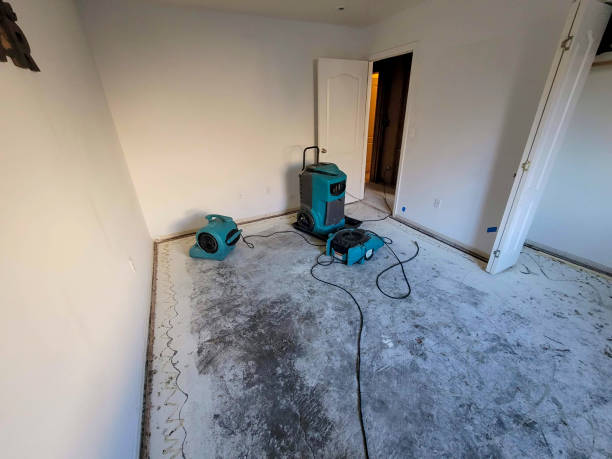 Best Local water damage restoration  in Laurel Park, NC