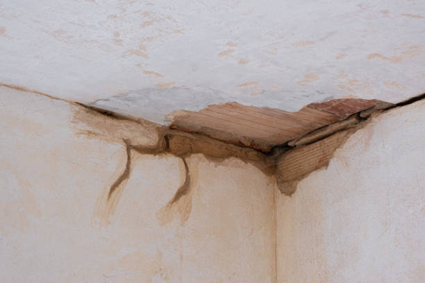Best Water damage restoration specialists  in Laurel Park, NC