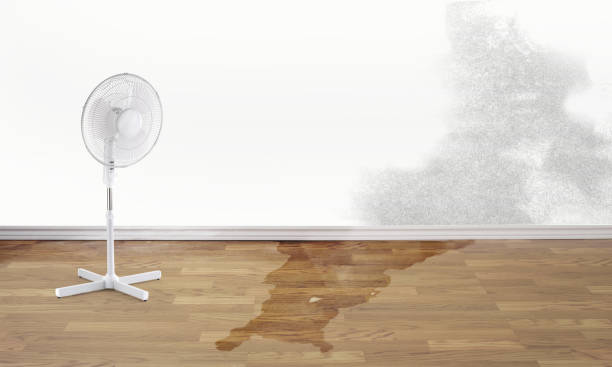 Best Ceiling water damage repair  in Laurel Park, NC