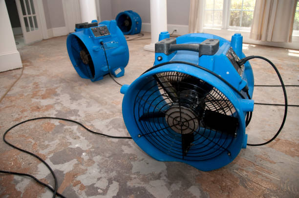  Laurel Park, NC Water damage restoration Pros