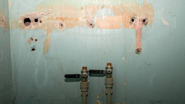 Laurel Park, NC Water damage restoration Pros