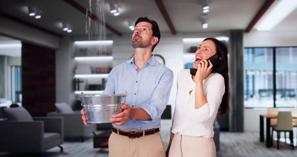 Water damage restoration mold remediation in Laurel Park, NC