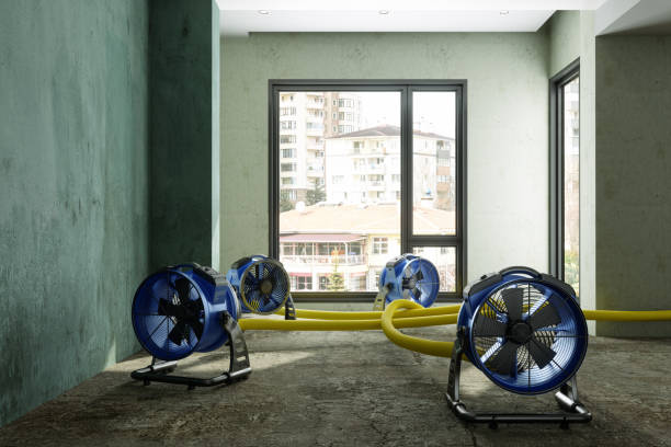 Best 24/7 water damage repair  in Laurel Park, NC